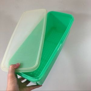 Vintage Tupperware Jadite Celery Vegetable Crisper